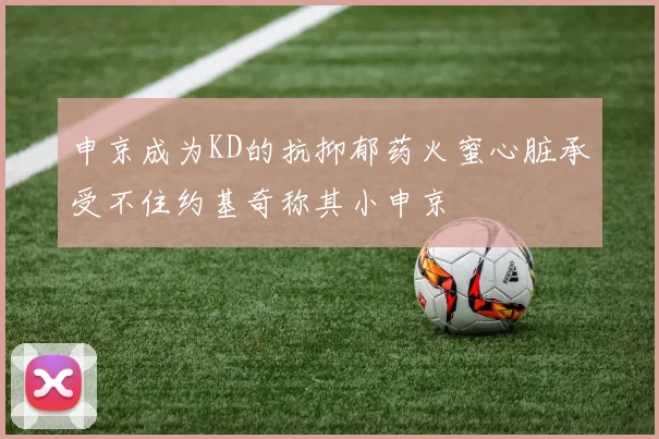 申京成为KD的抗抑郁药火蜜心脏承受不住约基奇称其小申京