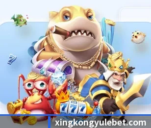 关于我们 - 体育资讯内容服务 | xingkong